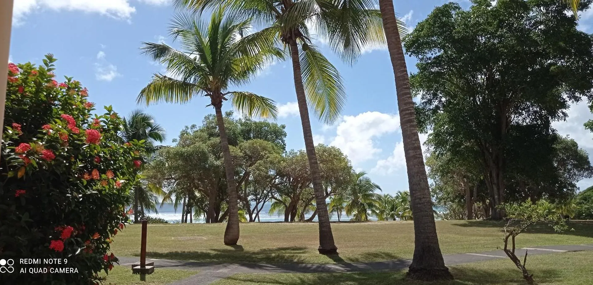 Grand Studio 4 Pers Superbe Vue Mer Et Cocotiers Dans Village Vacances Sainte-Anne Plage A - 30 M דירה סנט-אן